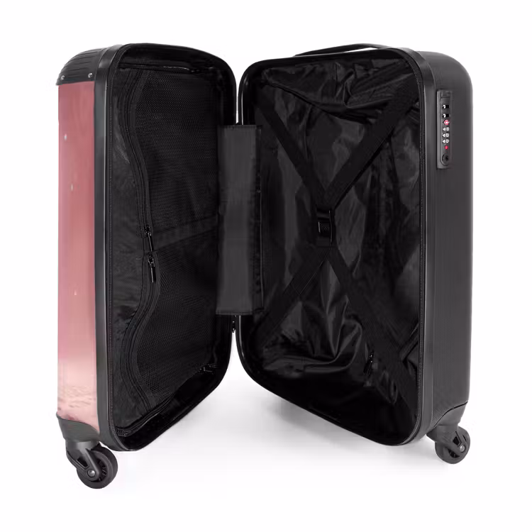 Valise - Monstre rose sur la lune — 5