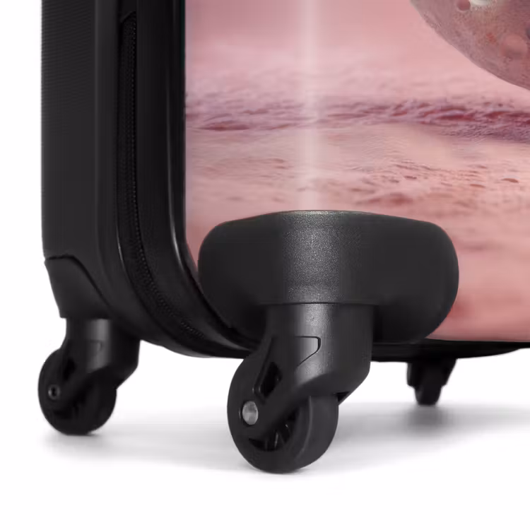 Valise - Monstre rose sur la lune — 7