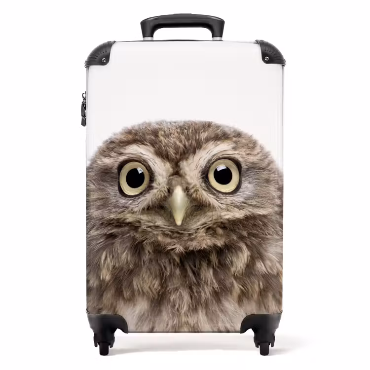 Valise - Hibou d'Ulke — 1
