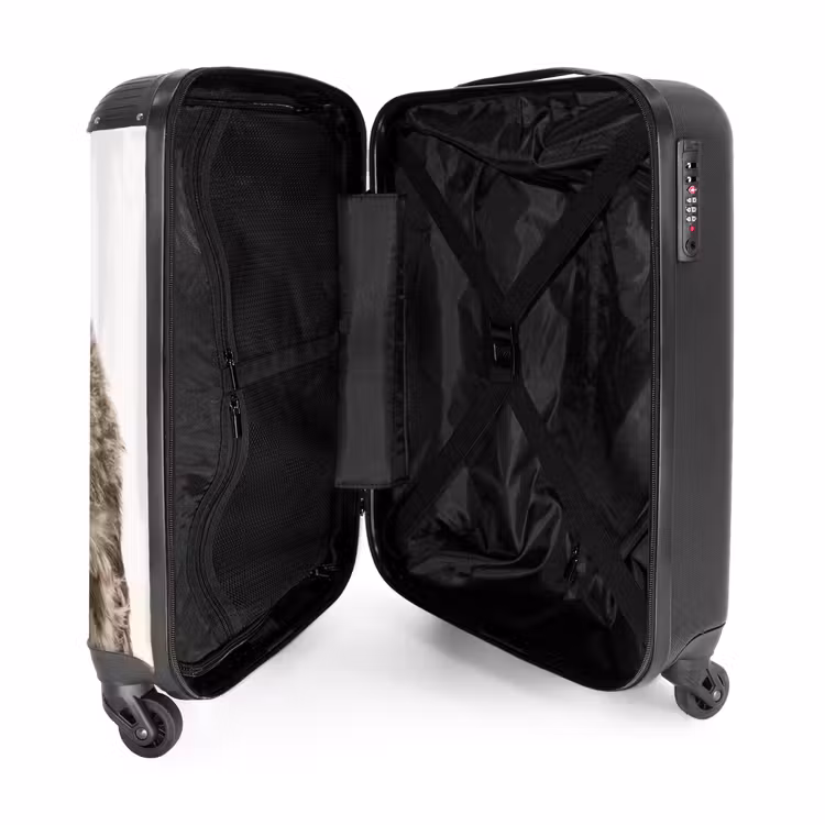 Valise - Hibou d'Ulke — 4