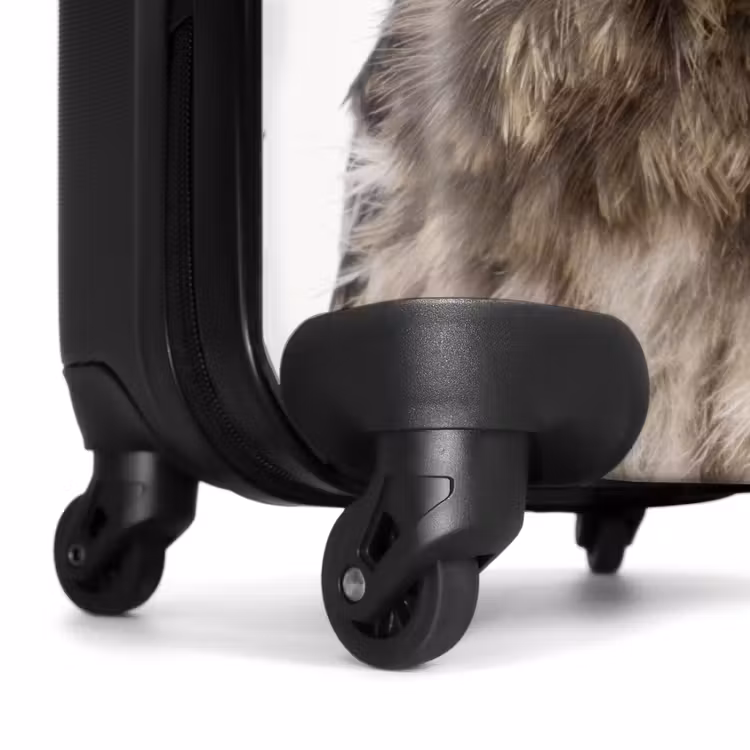 Valise - Hibou d'Ulke — 6