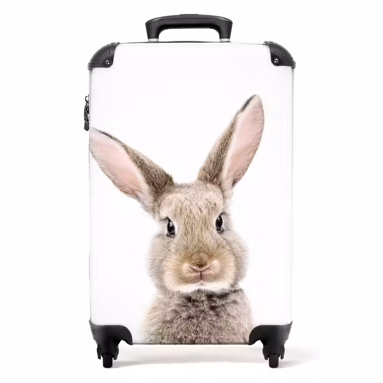 Valise - Koen Rabbit — 1