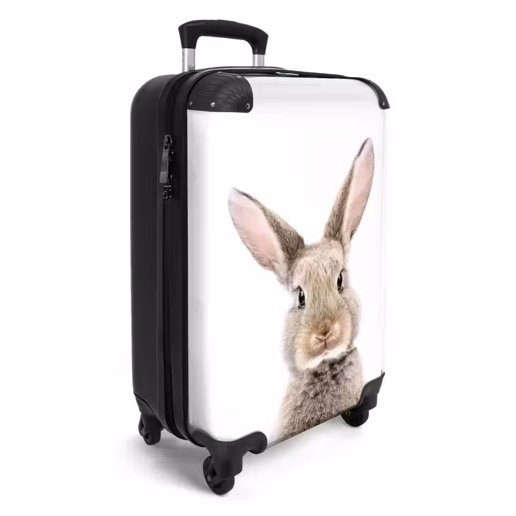 Valise - Koen Rabbit — 2