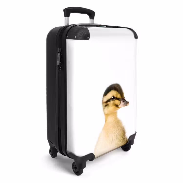 Valise - Le canard marguerite — 2