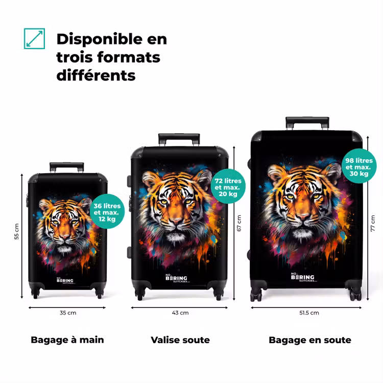 Valise - Le tigre comme œuvre d'art de rue — 3