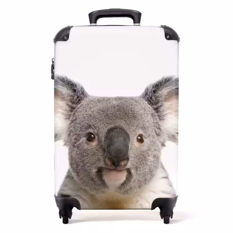 Valise - Mignon Koala — 1