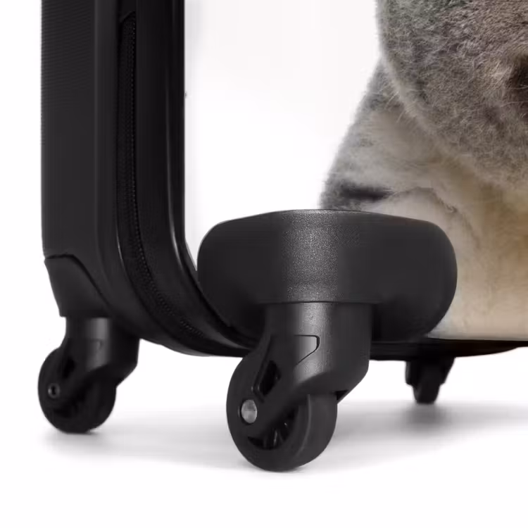 Valise - Mignon Koala — 6