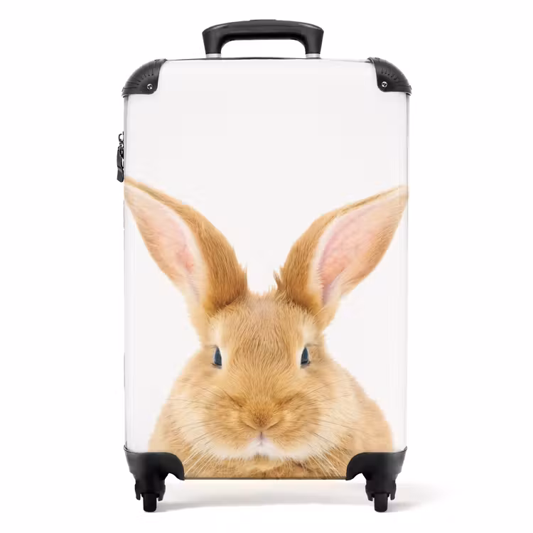 Valise - Reniflements avec la tête satisfaite — 1