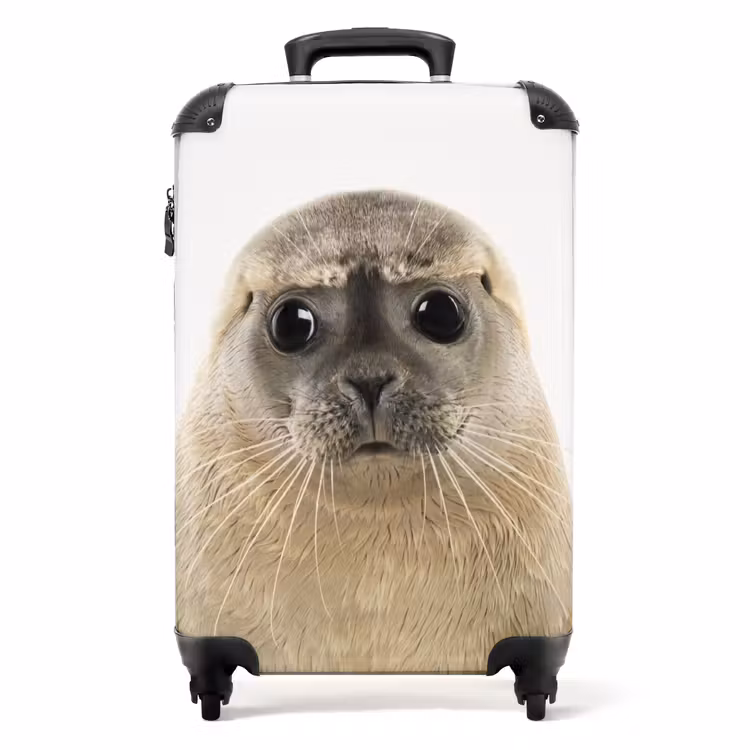 Valise - Sceau Zyon — 1