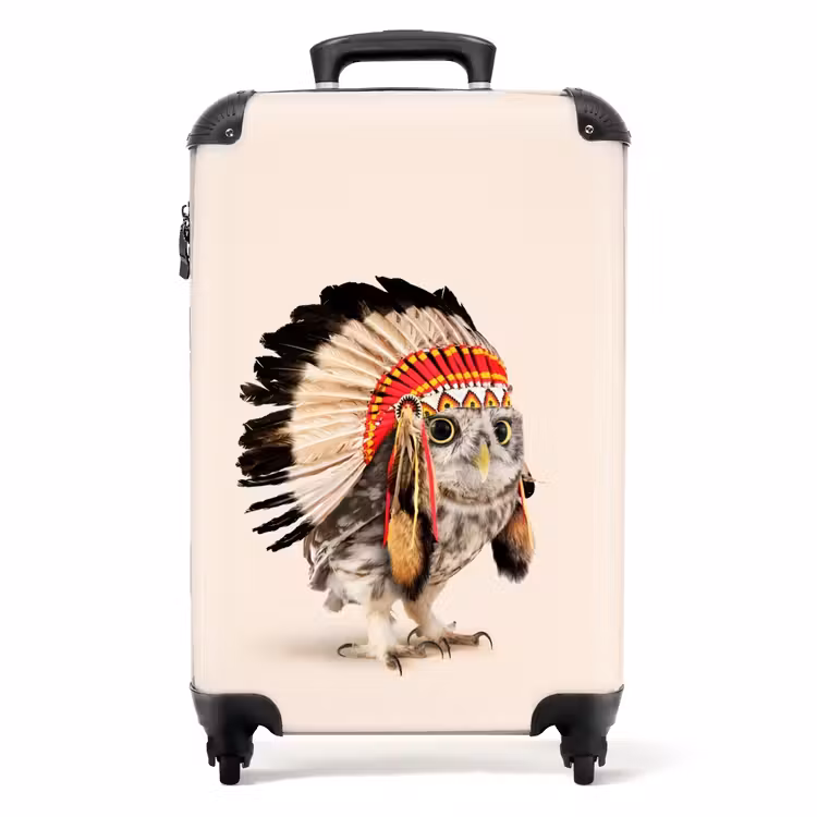 Valise - Le hibou en tant qu'Indien — 1