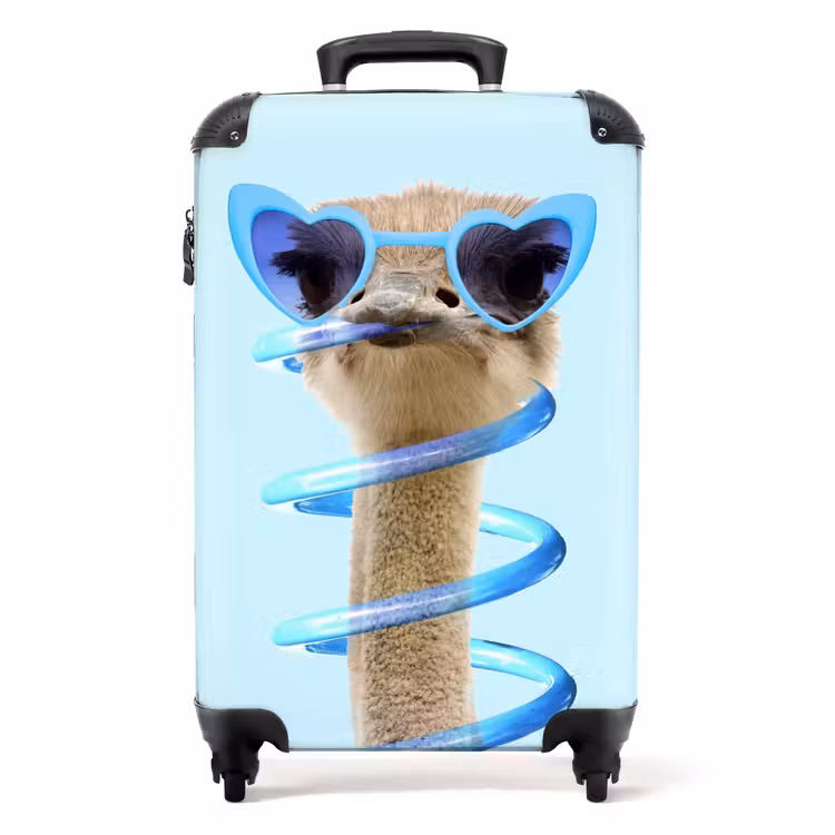 Valise - Sierk Ostrich Blue — 1