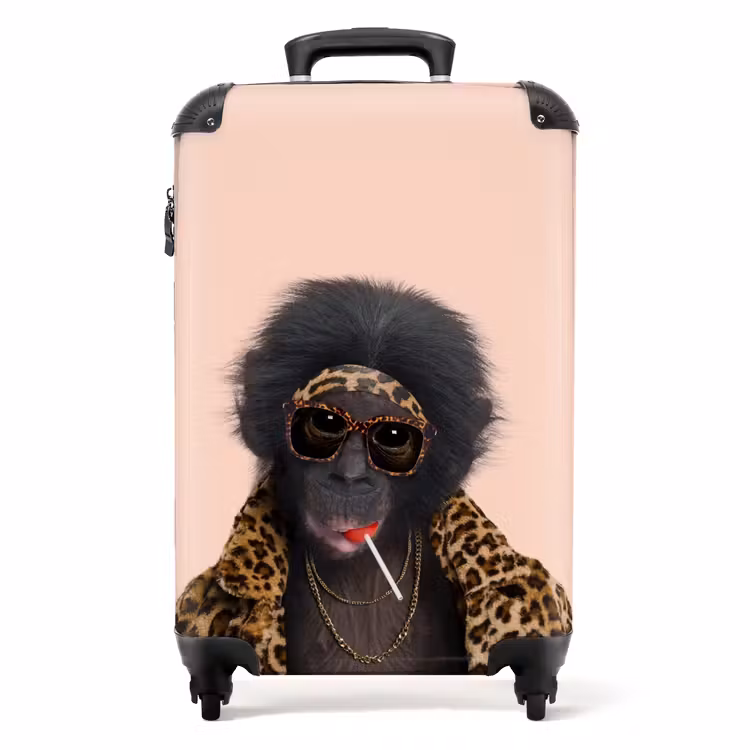 Valise - Singe avec Loly — 1