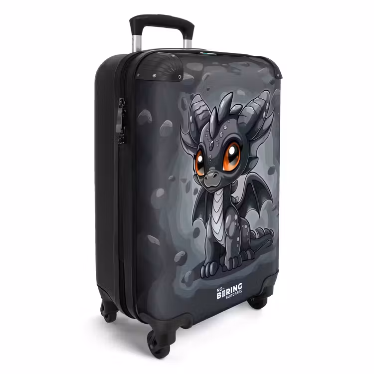 Valise - Gino queue-de-gris — 2