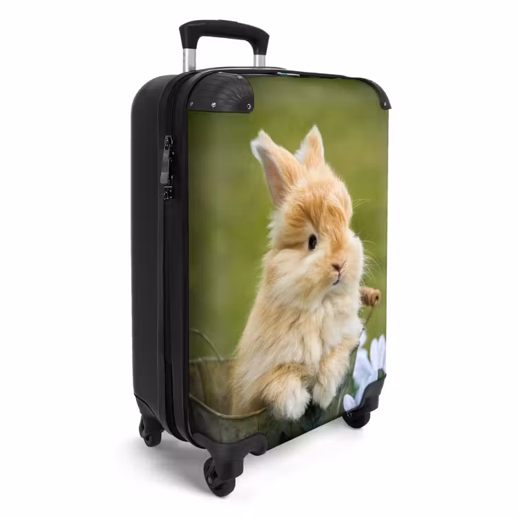 Valise - Lapin dans un pot de fleurs — 2