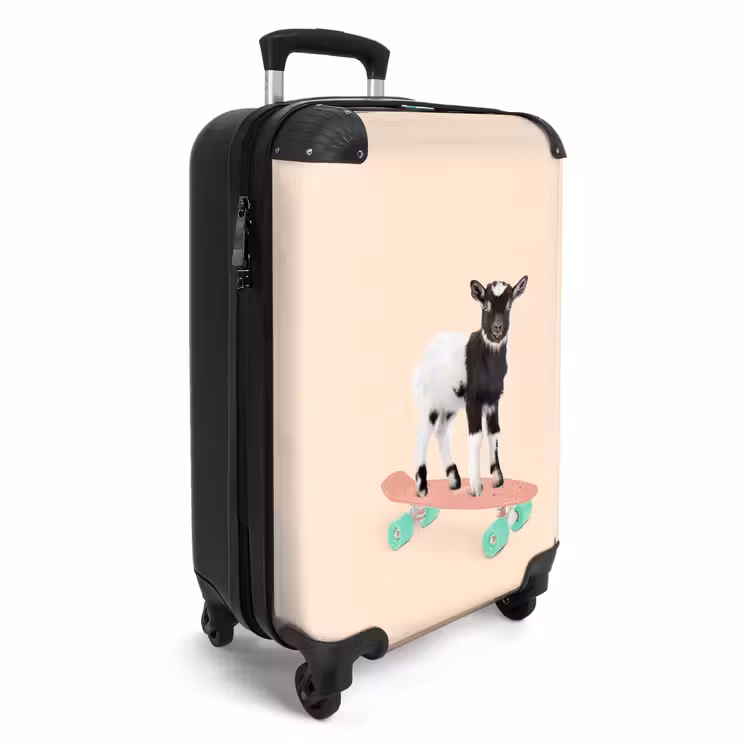 Valise - Mâle d'embarquement — 2
