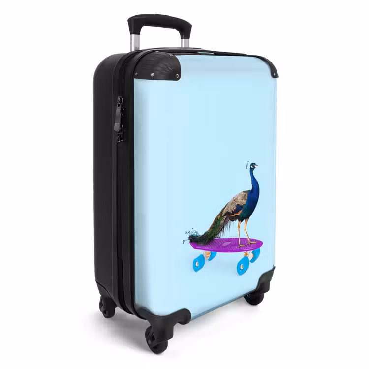 Valise - Paon de passage — 2