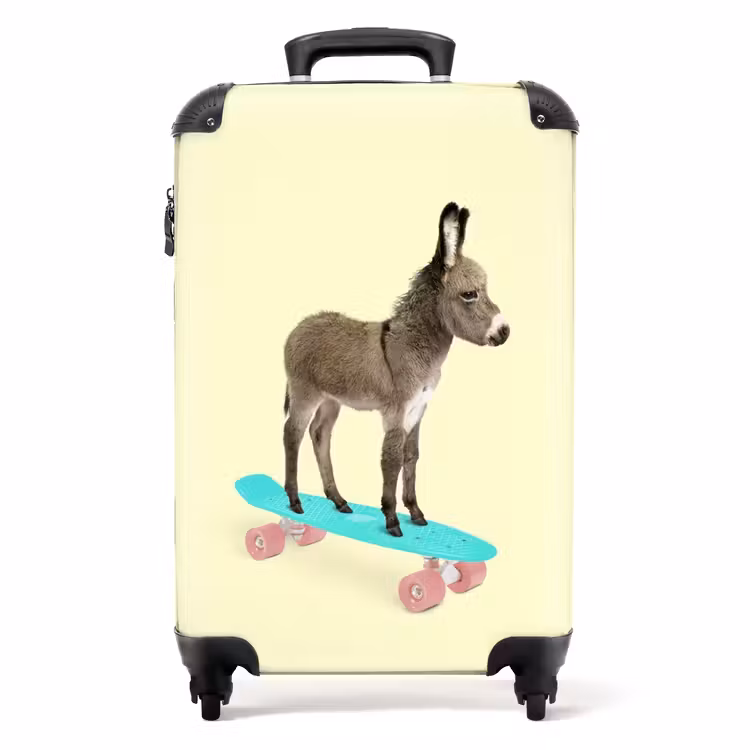 Valise - Promenade à dos d'âne — 1