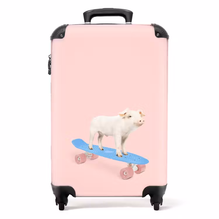 Valise - Transport de porcs — 1