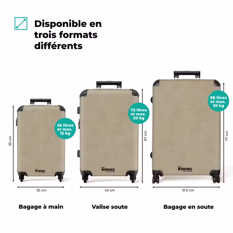 Valise - Couleur taupe - Texture nuageuse - Naturelle — 3