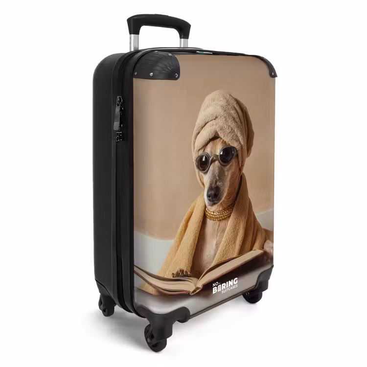Valise - Bain - Chien - Livre - Lunettes de soleil — 2