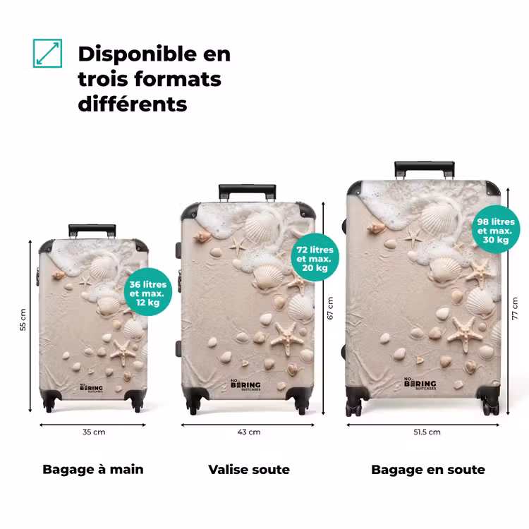 Valise - Coquillages - Étoiles de mer - Plage — 3