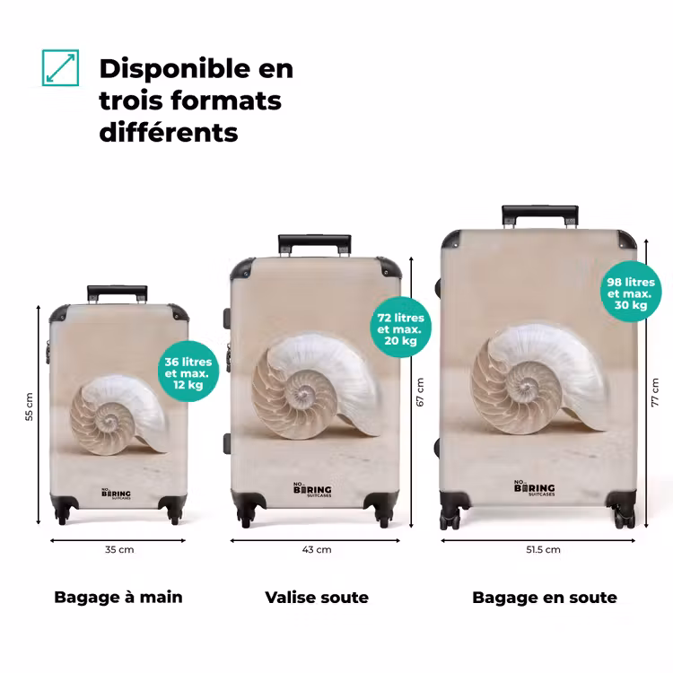 Valise - Coquille - Spirale - Beige — 3