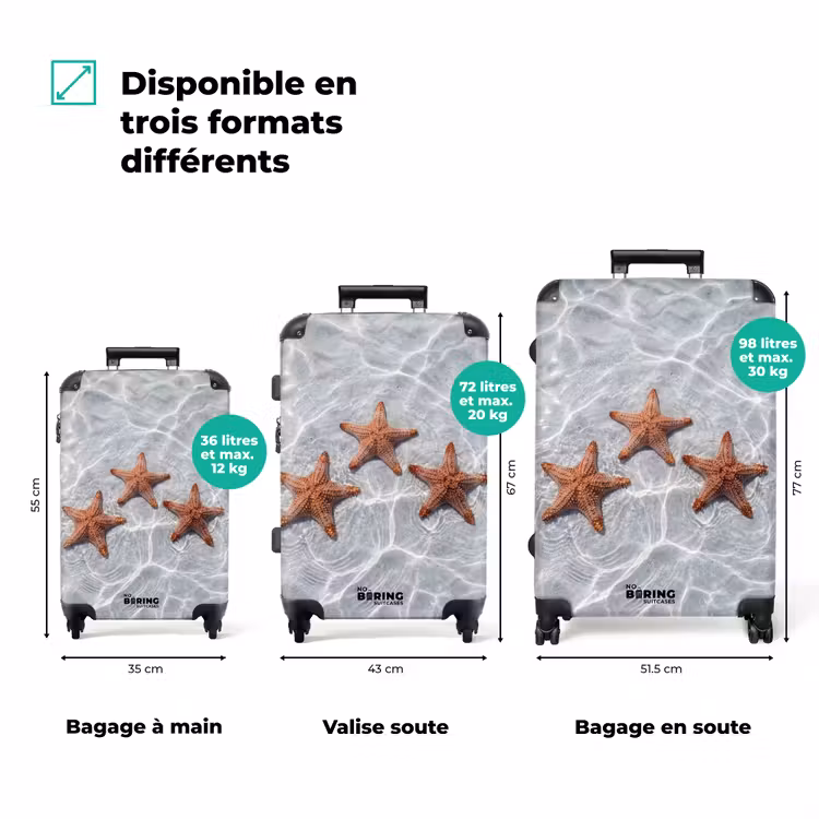 Valise - Étoile de mer - Eau - Clair — 3