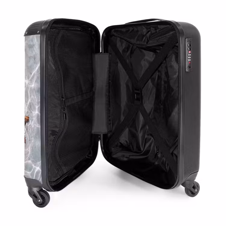 Valise - Étoile de mer - Eau - Clair — 5