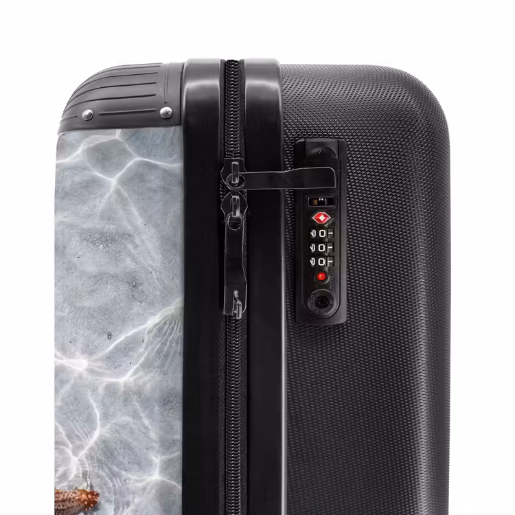 Valise - Étoile de mer - Eau - Clair — 6