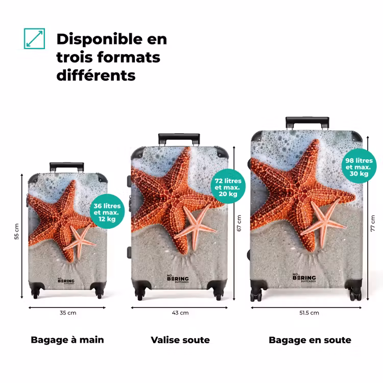Valise - Étoile de mer - Plage - Mer — 3