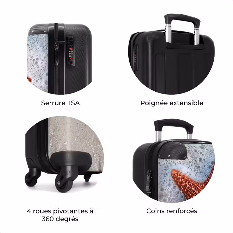 Valise - Étoile de mer - Plage - Mer — 8