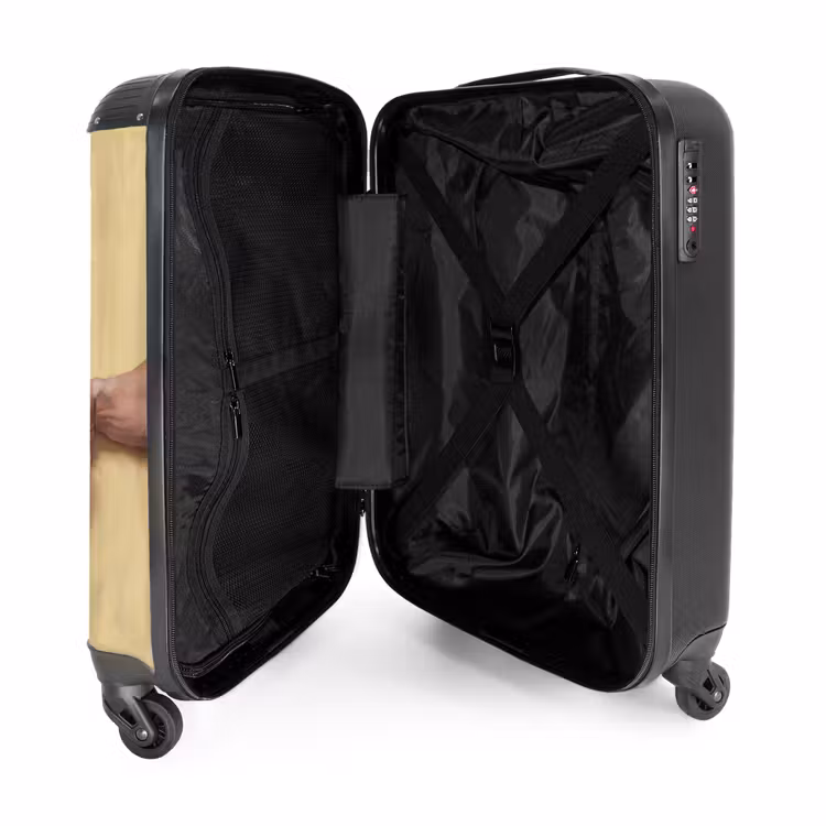Valise - Classique - Art - Humour — 5