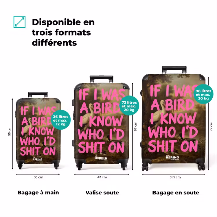 Valise - Classique - Humour - Rose — 3
