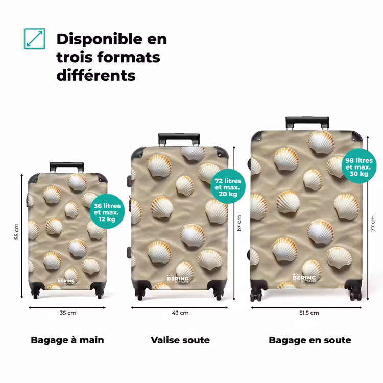 Valise - Coquillages - Sable - Maritime — 3