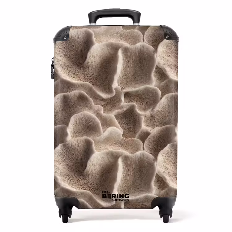 Valise - Forme éventail - Beige - Texture fibre — 1