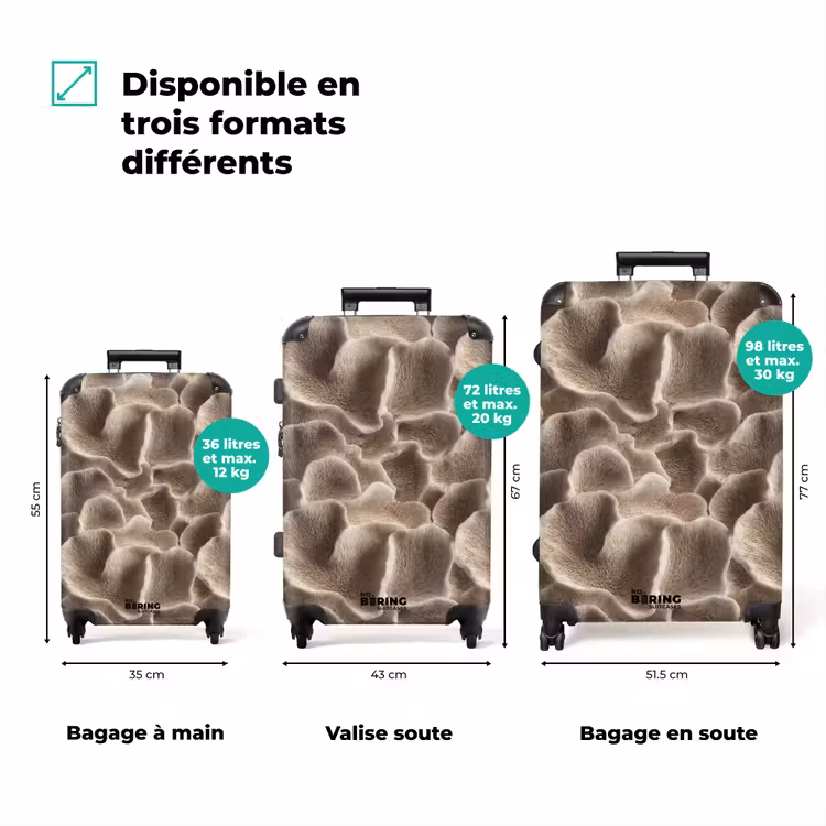 Valise - Forme éventail - Beige - Texture fibre — 3