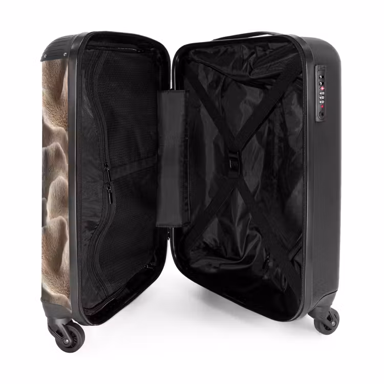 Valise - Forme éventail - Beige - Texture fibre — 5