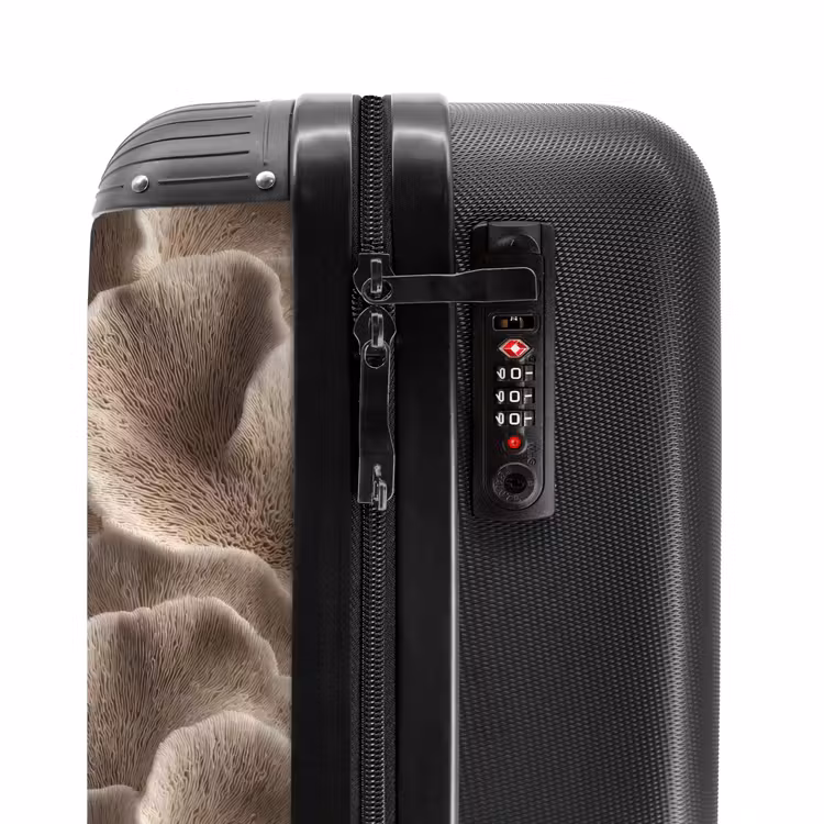 Valise - Forme éventail - Beige - Texture fibre — 6