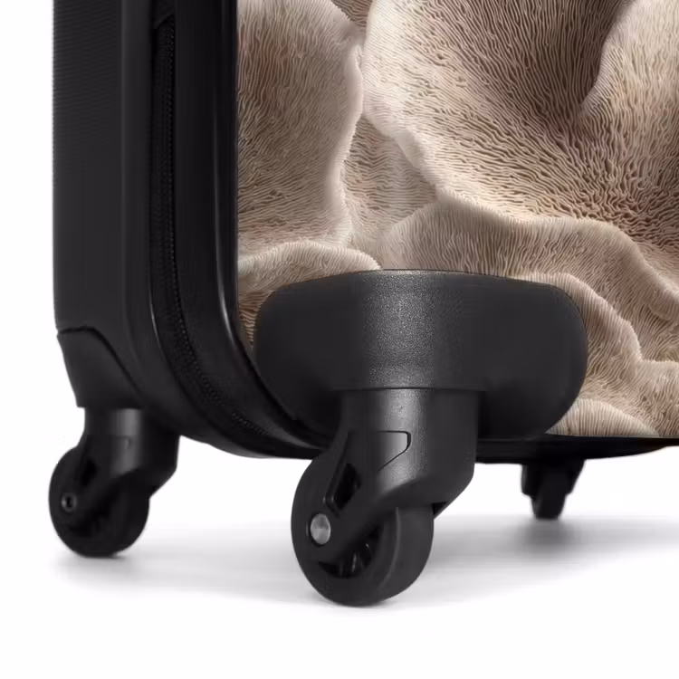 Valise - Forme éventail - Beige - Texture fibre — 7