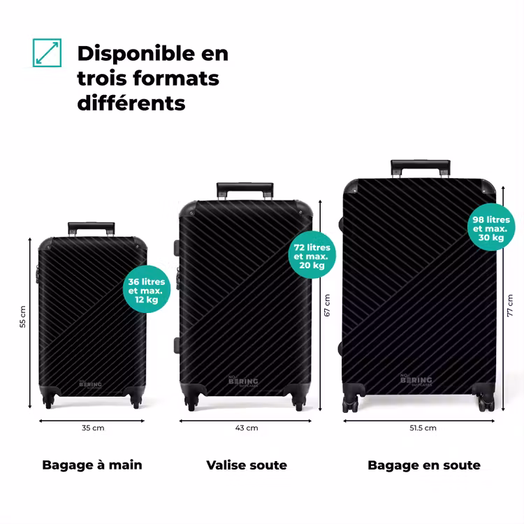 Valise - Dessin moderne noir — 3