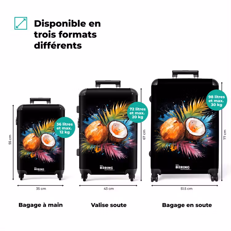 Valise - Art de la rue avec des noix de coco et des feuilles colorées — 3