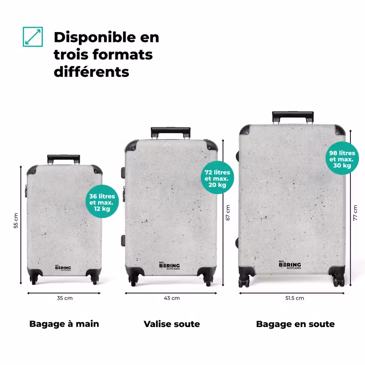 Valise - Gris - Béton - Neutre — 3