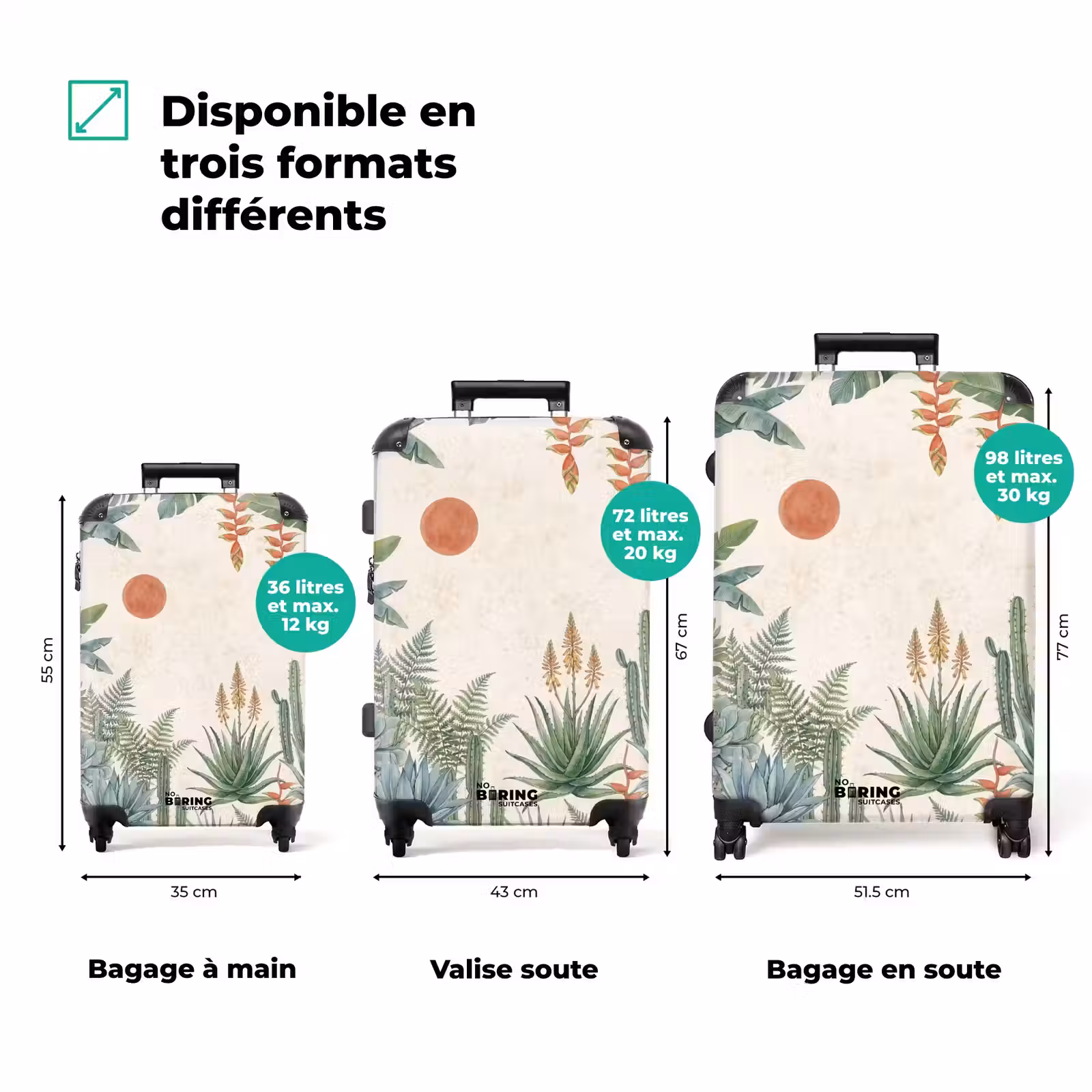 Valise - Désert - Plantes - Vert — 1