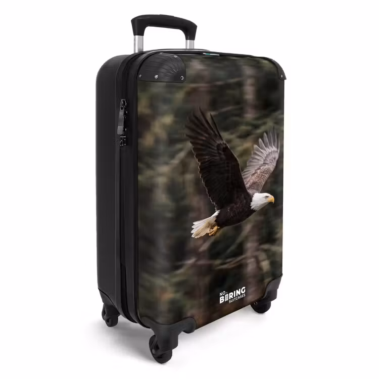 Valise - Aigle de mer - Vol - Forêt - Nature — 2