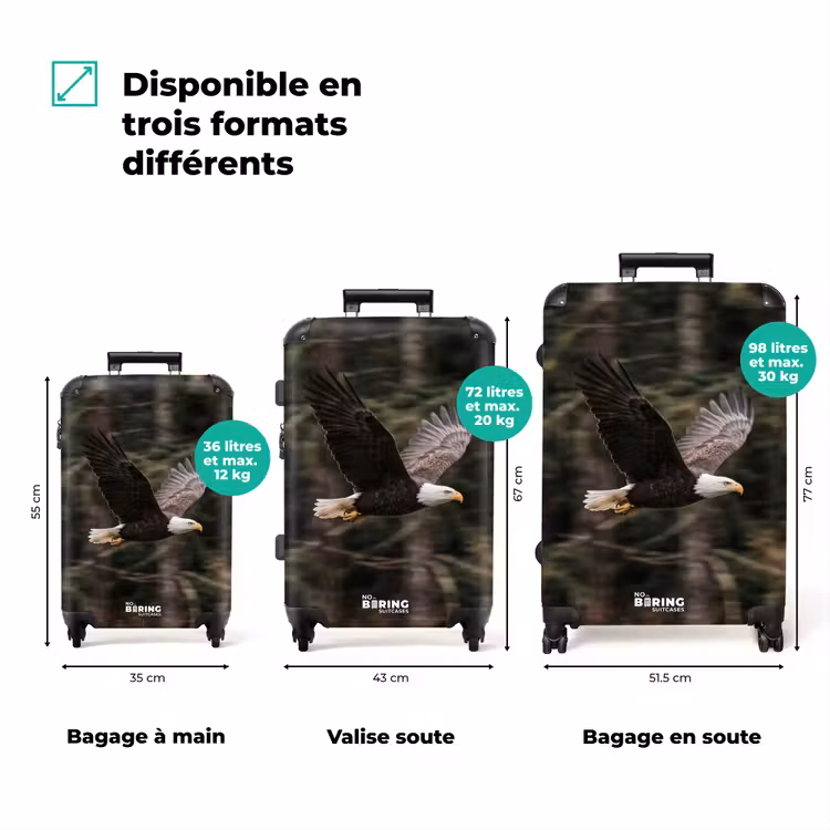 Valise - Aigle de mer - Vol - Forêt - Nature — 3