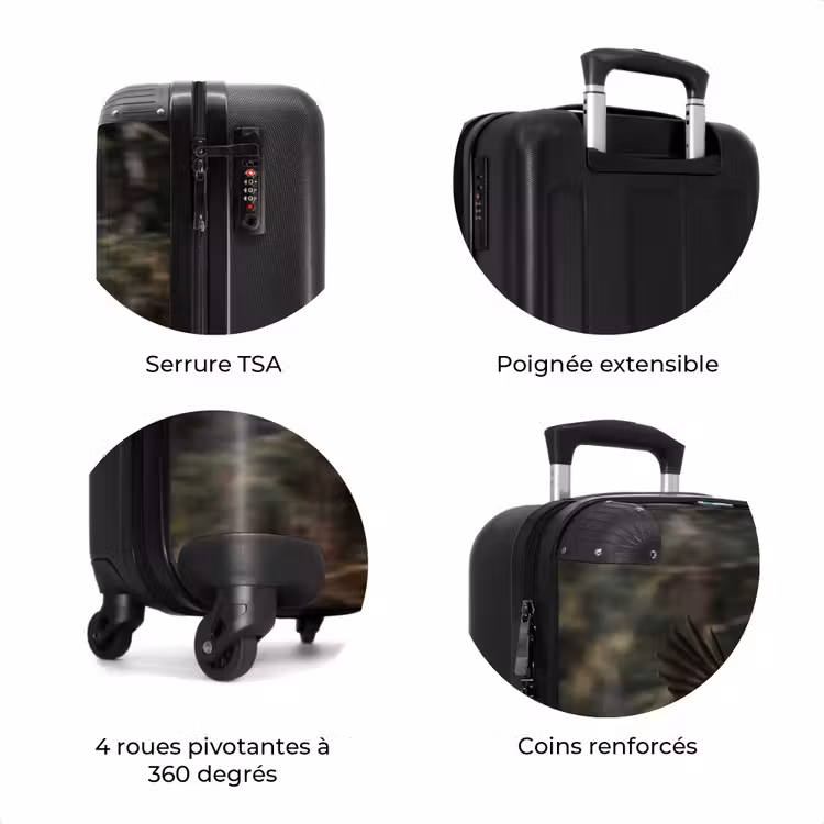 Valise - Aigle de mer - Vol - Forêt - Nature — 8