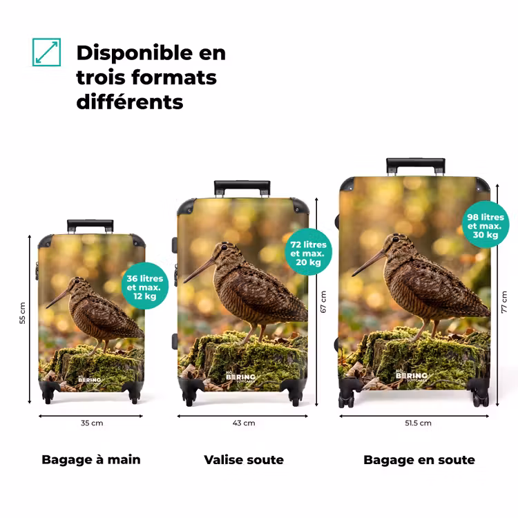 Valise - Bécasse des bois - Forêt - Feuilles - Automne - Camouflée — 3