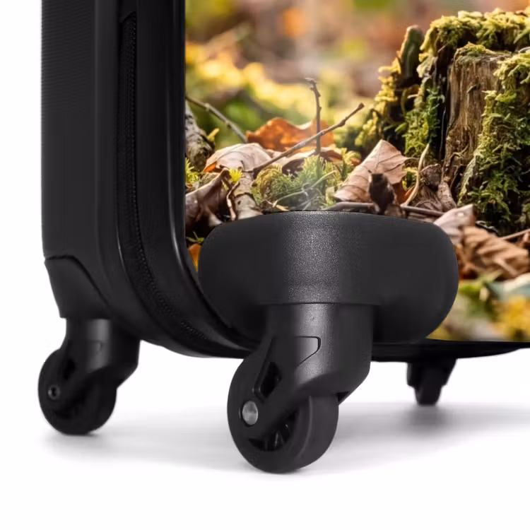 Valise - Bécasse des bois - Forêt - Feuilles - Automne - Camouflée — 7
