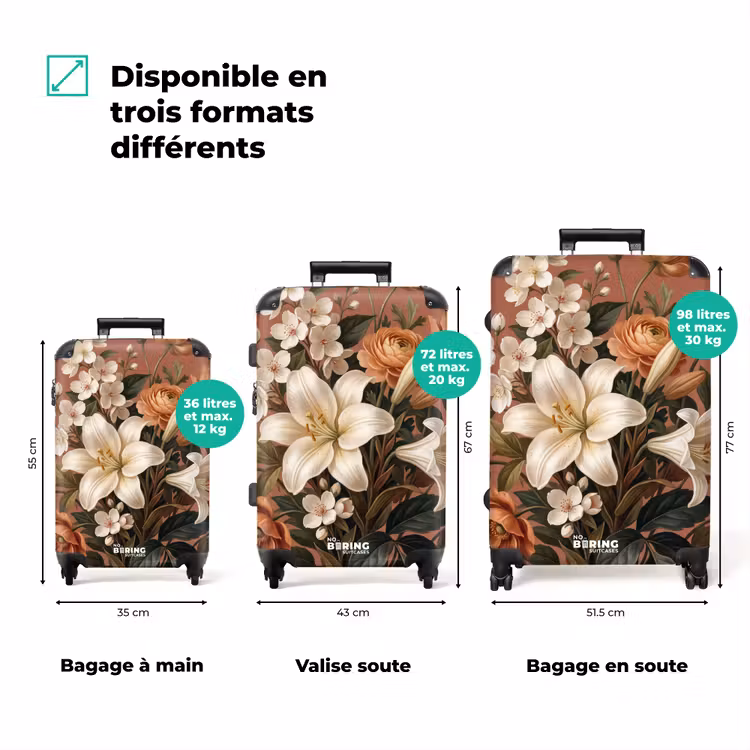 Valise - Bouquet - Rétro - Coloré — 1