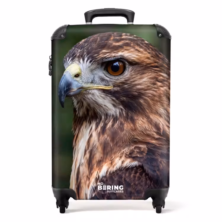 Valise - Buse - Rapace - Nature - Marron — 1